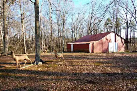 247 Johnson Rd, Pelzer, SC 29669 photo 14