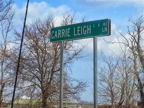 107 Carrie Leigh Ln, Pendleton, SC 29670 photo 2