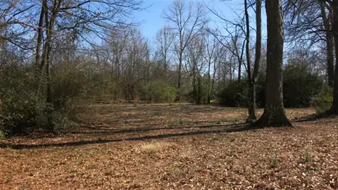 107 Carrie Leigh Ln, Pendleton, SC 29670 photo 9