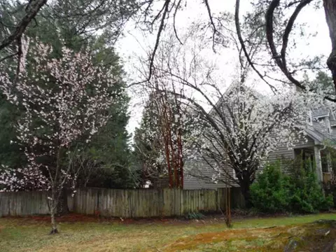 128 Creek Dr, Easley, SC 29642 photo 23