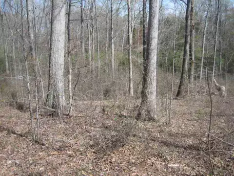 lot13 14 Brookside Dr, Honea Path, SC 29654 photo 2