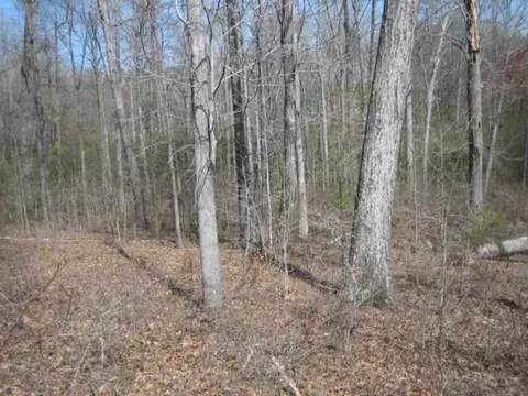 lot13 14 Brookside Dr, Honea Path, SC 29654 photo 3