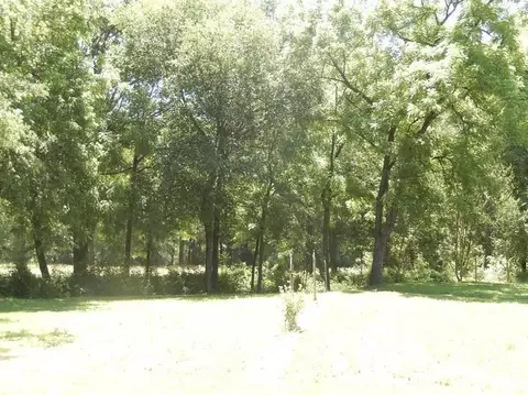 1007 Old Shirley Rd, Central, SC 29630 photo 8