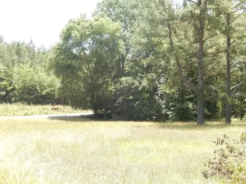 1007 Old Shirley Rd, Central, SC 29630 photo 10