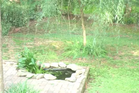 1212 Old Mill Rd, Easley, SC 29642 photo 21