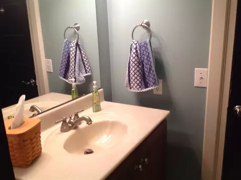 610 Wilson Rd, Central, SC 29630 photo 13