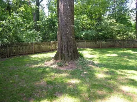 325 Pendleton Rd, Clemson, SC 29631 photo 32