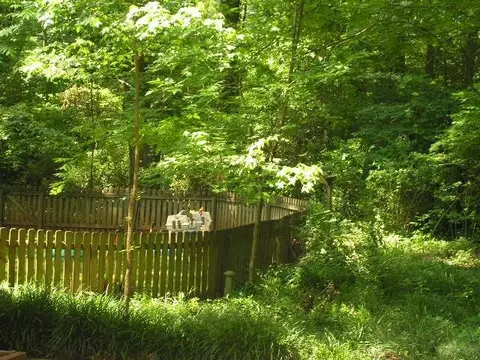 325 Pendleton Rd, Clemson, SC 29631 photo 35