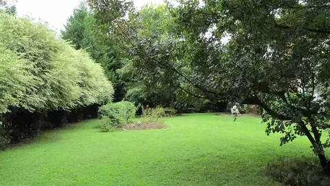 111 Carriage Path, Easley, SC 29642 photo 22