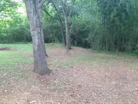 107 River St, Central, SC 29630 photo 16