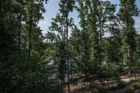 120 Saint Stephen Dr, Sunset, SC 29685 photo 33
