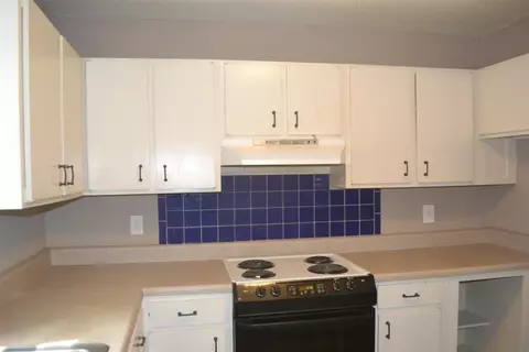 124 Briar Ln, Central, SC 29630 photo 7
