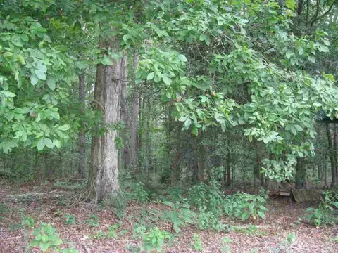 431 Johnson Rd, Honea Path, SC 29654 photo 17