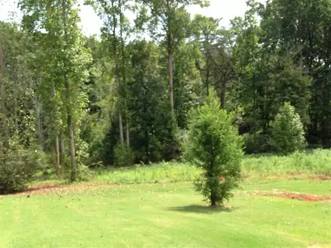 306 Hunt Rd, Easley, SC 29642 photo 35