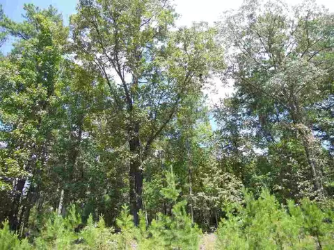 114 Bartram Trl, Central, SC 29630 photo 4