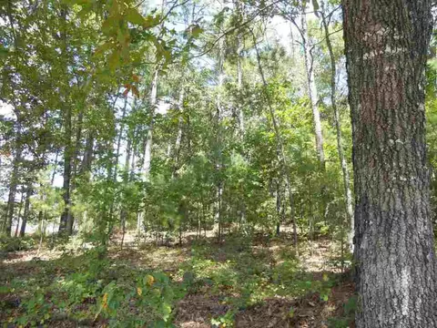 114 Bartram Trl, Central, SC 29630 photo 2