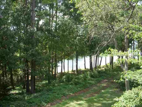 166 Riverpoint Dr, Clemson, SC 29631 photo 19
