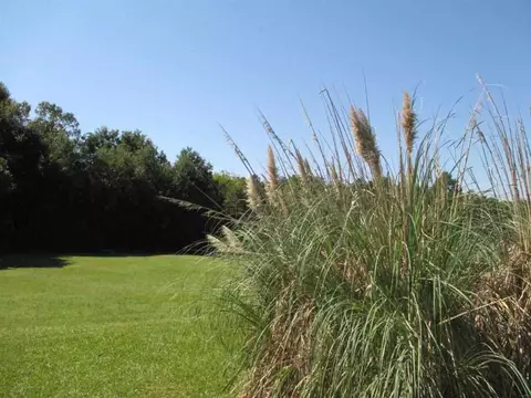 140 Sheriff Rd, Central, SC 29630 photo 35