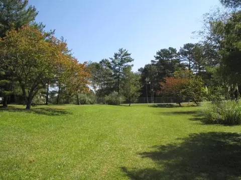 140 Sheriff Rd, Central, SC 29630 photo 34