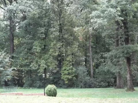 108 Robinall Dr, Easley, SC 29642 photo 26