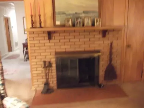 108 Robinall Dr, Easley, SC 29642 photo 16