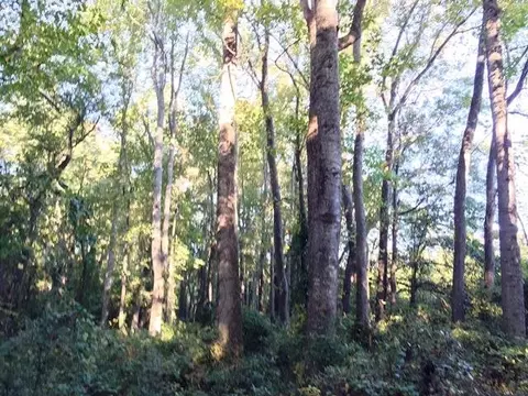 3304 Six And Twenty Rd, Pendleton, SC 29670 photo 3