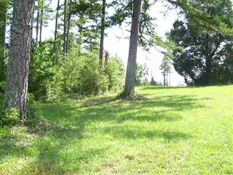 105 White Willow Ct, Easley, SC 29642 photo 10