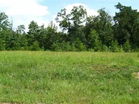 105 White Willow Ct, Easley, SC 29642 photo 11
