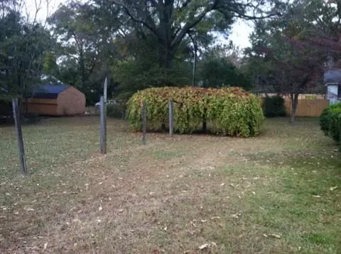 228 Buchanan Cir, Pendleton, SC 29670 photo 6
