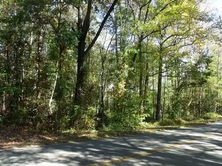 460 Bryant Rd, Pelzer, SC 29669 photo 1