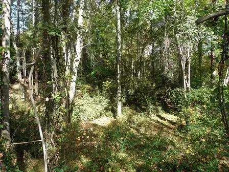 460 Bryant Rd, Pelzer, SC 29669 photo 3