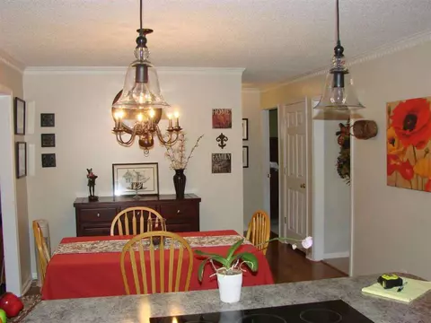 203 Luke Ct, Easley, SC 29640 photo 14