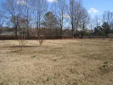 115 Stevens Ct, Williamston, SC 29697 photo 13