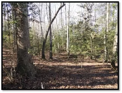 326 Bolding Rd, Pickens, SC 29671 photo 6
