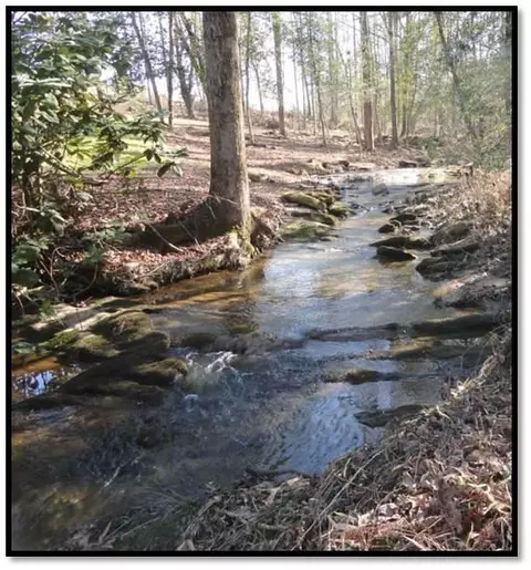 326 Bolding Rd, Pickens, SC 29671 photo 7
