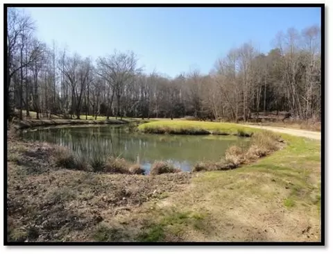 326 Bolding Rd, Pickens, SC 29671 photo 4