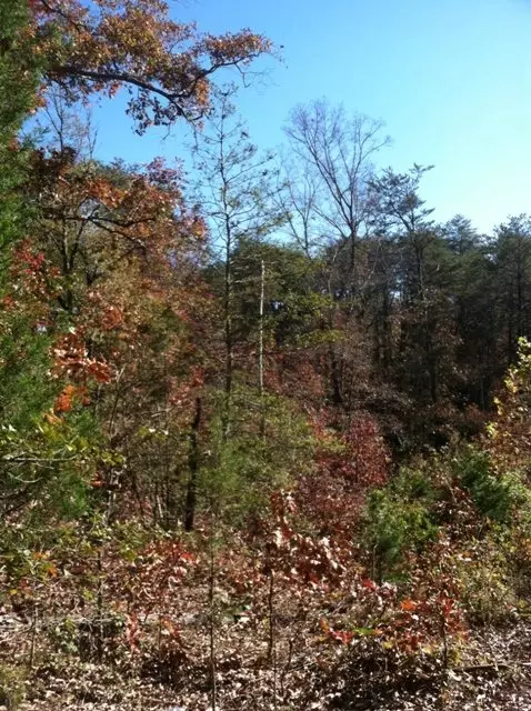 113 Mill Pond Rd, Easley, SC 29642 photo 2