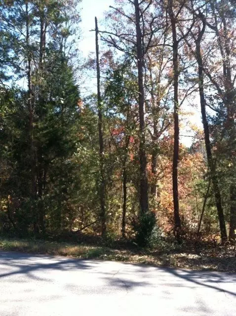 113 Mill Pond Rd, Easley, SC 29642 photo 1
