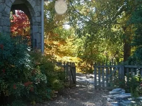 304 Pendleton, Clemson, SC 29631 photo 2