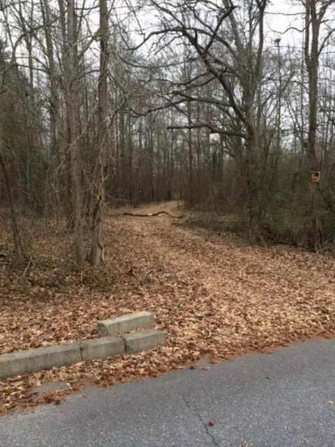 100 Lakeview Dr, Williamston, SC 29697 photo 5