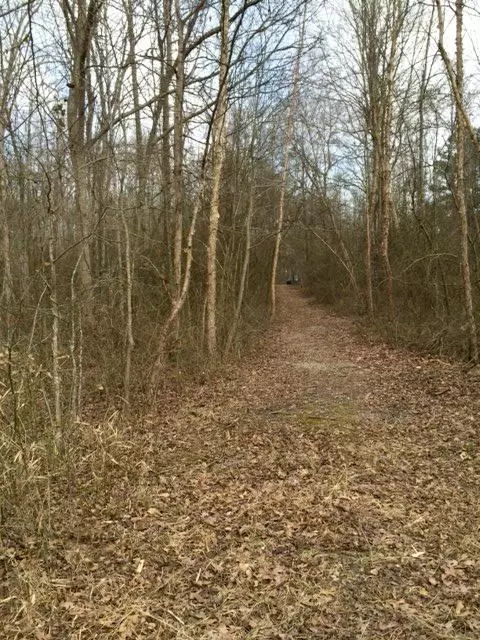 100 Lakeview Dr, Williamston, SC 29697 photo 3