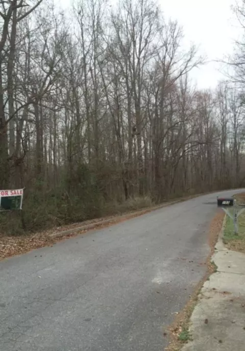 100 Lakeview Dr, Williamston, SC 29697 photo 7