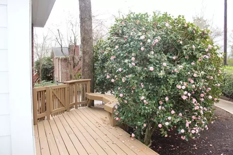 305 Pendleton Rd, Clemson, SC 29631 photo 19