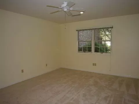 334 Summer Walk, Clemson, SC 29631 photo 19