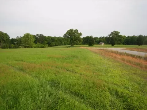 100 Goshen Way, Honea Path, SC 29654 photo 5