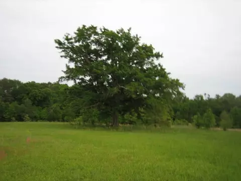 100 Goshen Way, Honea Path, SC 29654 photo 10
