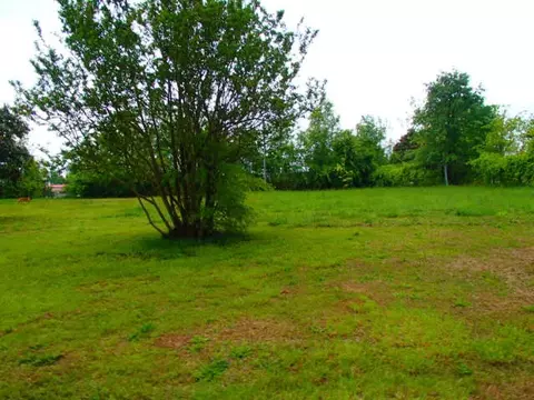 305 Saluda St, Honea Path, SC 29654 photo 9