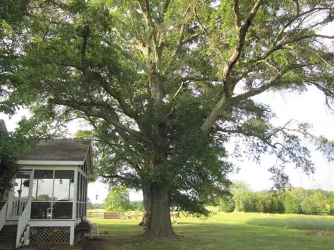 874 Holliday Dam Rd, Honea Path, SC 29654 photo 33