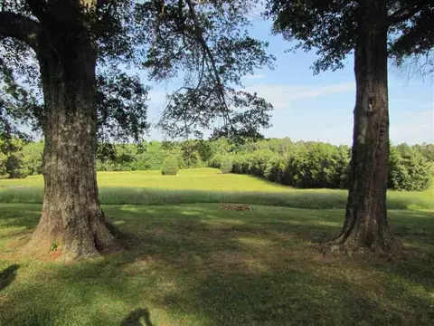 874 Holliday Dam Rd, Honea Path, SC 29654 photo 28