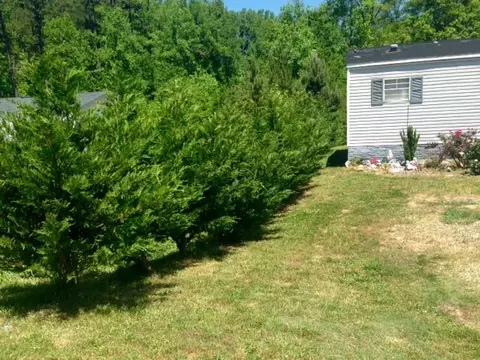 161 Tree Top Ln, Easley, SC 29642 photo 16